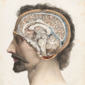 Start image