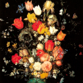 Start image