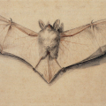 Start image